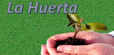 Banner colegio